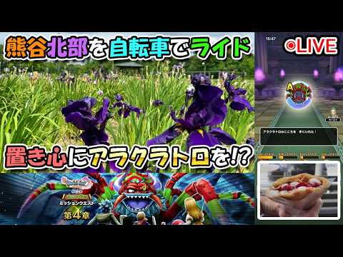 「ドラクエウォーク最新情報！DQⅪ命の大樹編第4章＆新ほこら攻略」