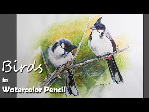 Mountains and Pine Tress Watercolor Pencil Landscape Drawing | steps to follow