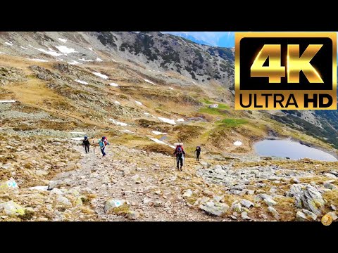 Muntii Iezer - Papusa Mountains ⛰ #romania #romanie  #experienceromania  #VarfulRosu #iezerpapusa