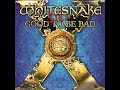 Whitesnake - Call on Me (2023 Remix)
