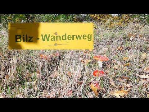 Bilz-Wanderweg Lunzenau
