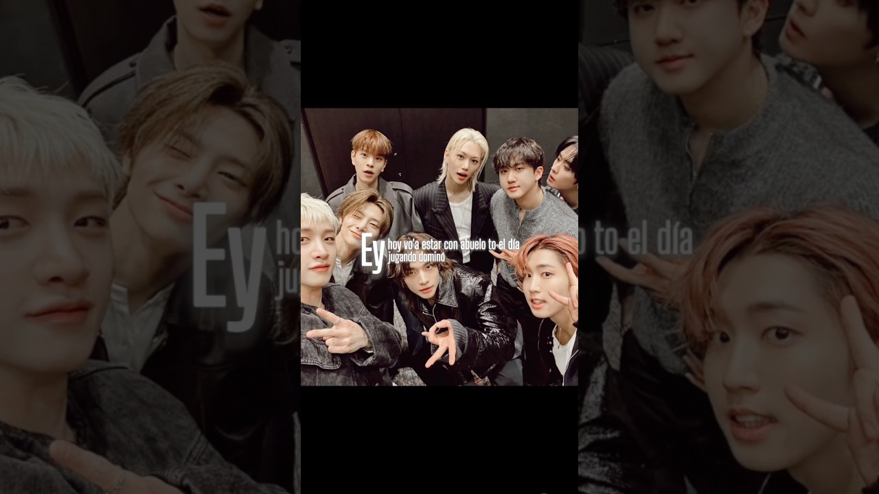 💗✨ || #straykids #skzedit #kpop #stay #dtmf