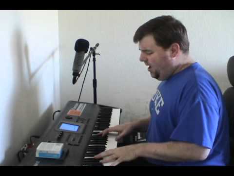 Vienna (Billy Joel), Cover by Steve Lungrin