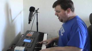 Vienna (Billy Joel), Cover by Steve Lungrin