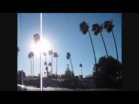 Palm Trees Sway In High Winds Around The Bay Area (12-30-2014)