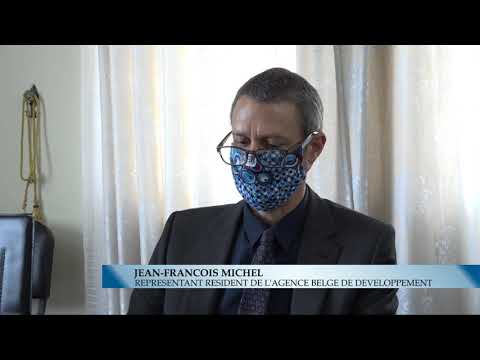 Renforcement de la filière de l’ananas au Bénin Renforcement de la filière de l’ananas au Bénin
