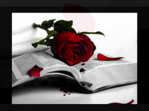 Hayko Shavo - Andzrev