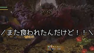 【MHW】part46 奴にとっては獲物も得物