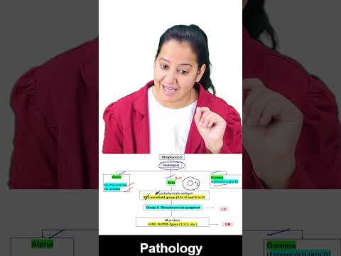 1 minute learning:   Streptococcus  Classification