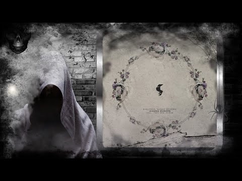 Sasho Derama & Evelynka – Hidden Rumors (Two Are Remix) [Siona Records]