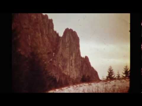 DANIEL BLOOM  "HALAMA" (utwór z płyty  Muzyka z Filmów)