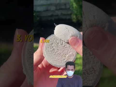 Facts About Life, Dream, Sentence, Breath, Hashtag, Cat #facts #shorts