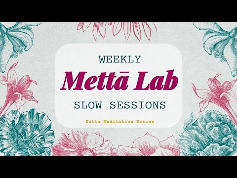 Metta Lab (weekly slow session)  @SuttaMeditationSeries - 1 June 2024