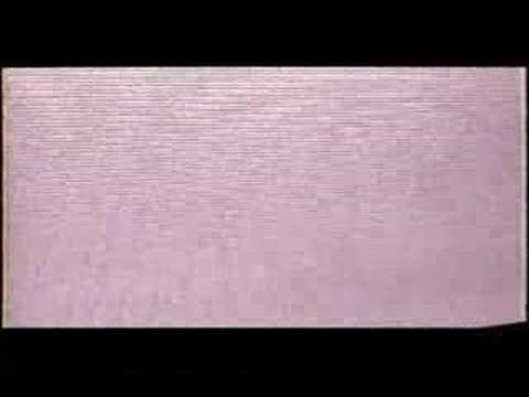 20/20 Mafia inside Look