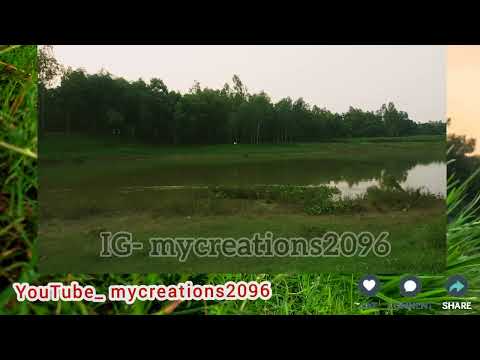 Duti Pakhi Duti Tire  song || Rabindra Sangeet || Kishore Kumar song  #romanticstatus #viral#shorts