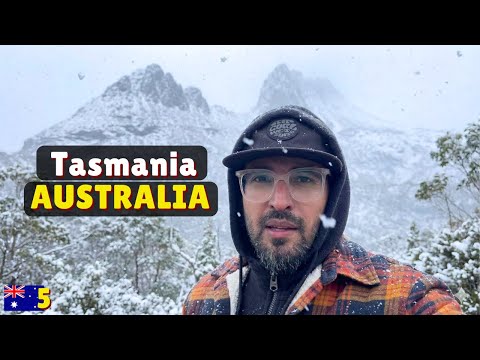 SNOW Storm at Cradle Mountain AUSTRALIA | Tasmania RoadTrip Ends