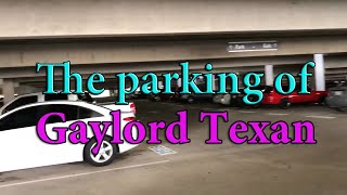 The parking of Gaylord Texan ( Quê Hương Và Viễn Xứ )