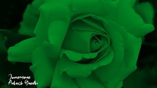 Download lagu Journeyman - Aakash Gandhi | 1 Hour mp3