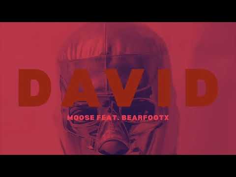David -- Moose (feat. Bearfootx) Official Audio