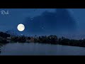 Ke Tui Bol Arijit Singh Lofi Reverbed Song Dev LoFi Mix Bengali Song Sujon Raj