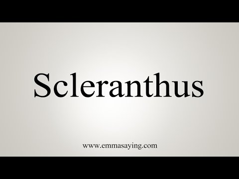 How To Say Scleranthus