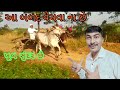 beautiful ox sel બળદ વેચવા ના છે