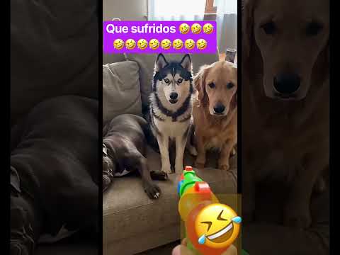 Esto si dolió