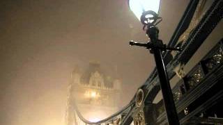 Martin Newell - "Your Winter Garden"