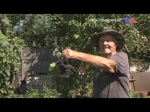 Выпуск программы “День” от 14 августа 2025г.