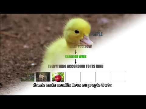 03 Es cuestión de jurisdicción -“La Ira de Dios”