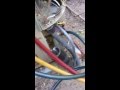 Dog Urine Damaging Air Conditioning