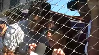 Las cosas que hace - La renga (Clip Juventud Antoniana Vs Central Norte) 2014