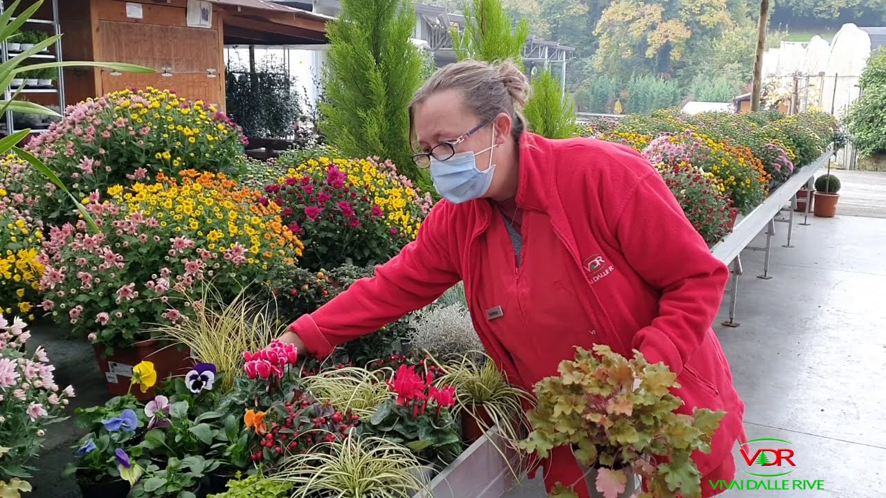 Piante e fiori per il balcone autunnale