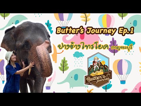 ปางช้างไทรโยค