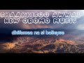 Shaakkisoo Awwal Dhifamaa Na Si Balleyse Official Music New Oromo Music Old Oromo Music 2025