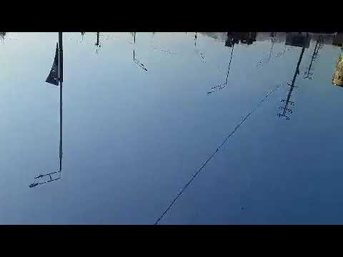 Боз як зани зинокора капидан 2019