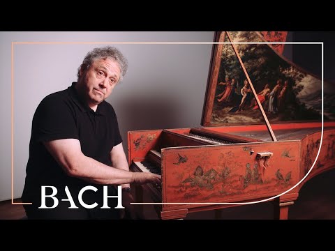 Egarr on Bach Concerto in D major BWV 972 | Netherlands Bach Society