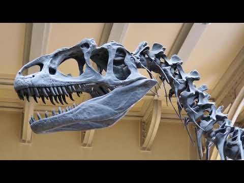 Milei revela cómo los empresarios intentaron frenar suPresidencia