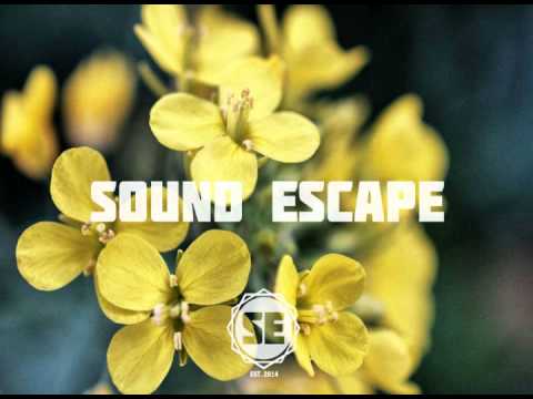 Julia Losfelt - One Against a Million