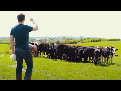 Lee Matthews - The Farmer Wants A Wife (Official Music Video)