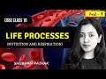 Life Processes | Part 1 | Class 10 Biology | Nutrition | Respiration | Shubham Pathak