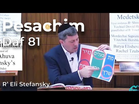 Daf Yomi Pesachim Daf 81 by R’ Eli Stefansky
