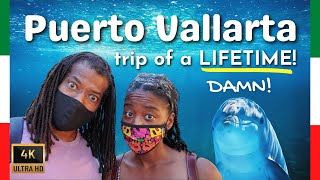 The Dolphins & Whales of Puerto Vallarta (GDL City Guide Ep. #4)