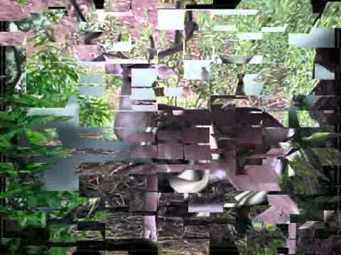 download lagu mp3 mp4 Historia De Ode, download lagu Historia De Ode gratis, unduh video klip Historia De Ode