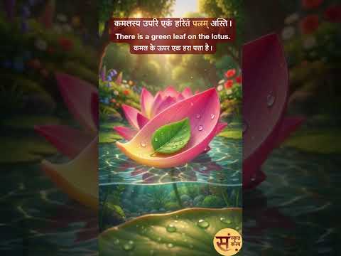 नपुंसकलिङ्ग-शब्दाः अकारान्त | (Neuter Nouns) | वनस्य सौन्दर्यम् #sanskritkalp #motivation