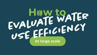 How to assess (in-field) Water Use Efficiency at large scale?