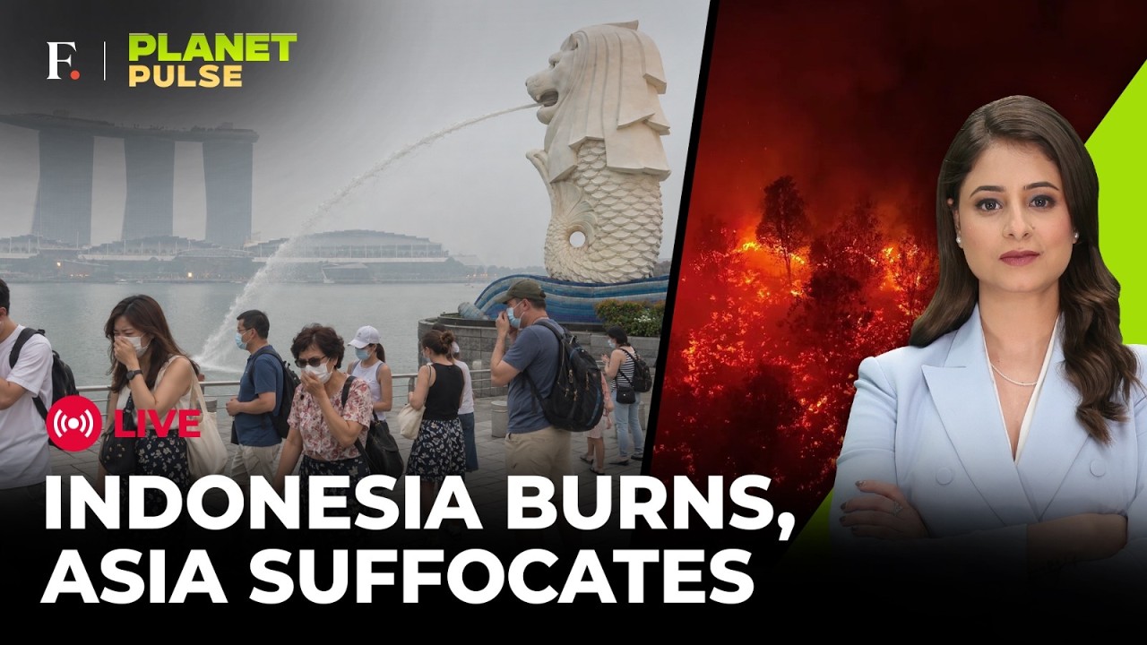 LIVE: Indonesia Wildfires: Haze Crisis Spills Into Malaysia, Singapore & Philippines | Planet Pulse