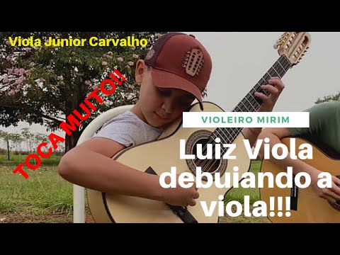 Luiz Viola DEBUIANDO A VIOLA | Seleção de Pagodes | viola Júnior Carvalho