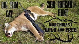 FoxPro Inferno Calls in Cougar - Tracking and Killing a Mountain Lion in the Northwest