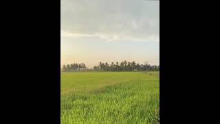 Download lagu #STORY WA PAGI HARI | Semangat pagi😊 mp3 Download lagu #STORY WA PAGI HARI | Semangat pagi😊 mp3
